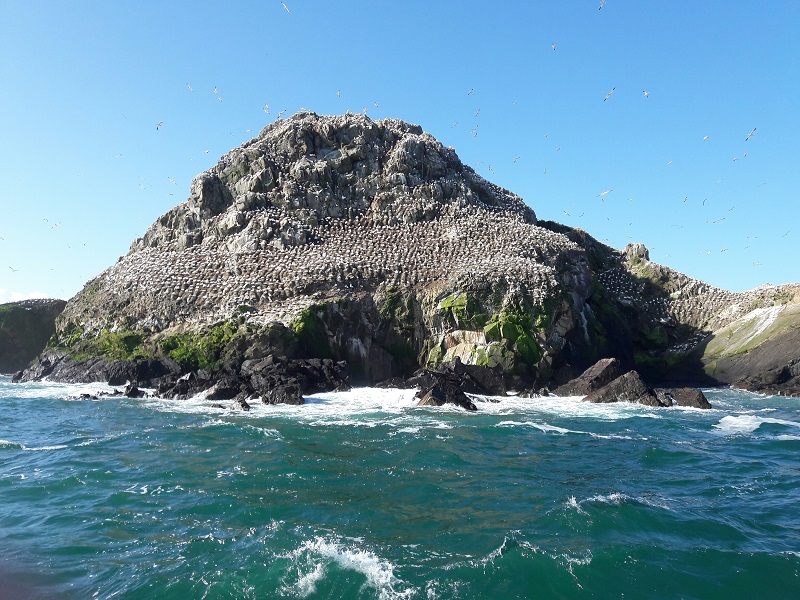 Île de Rouzic